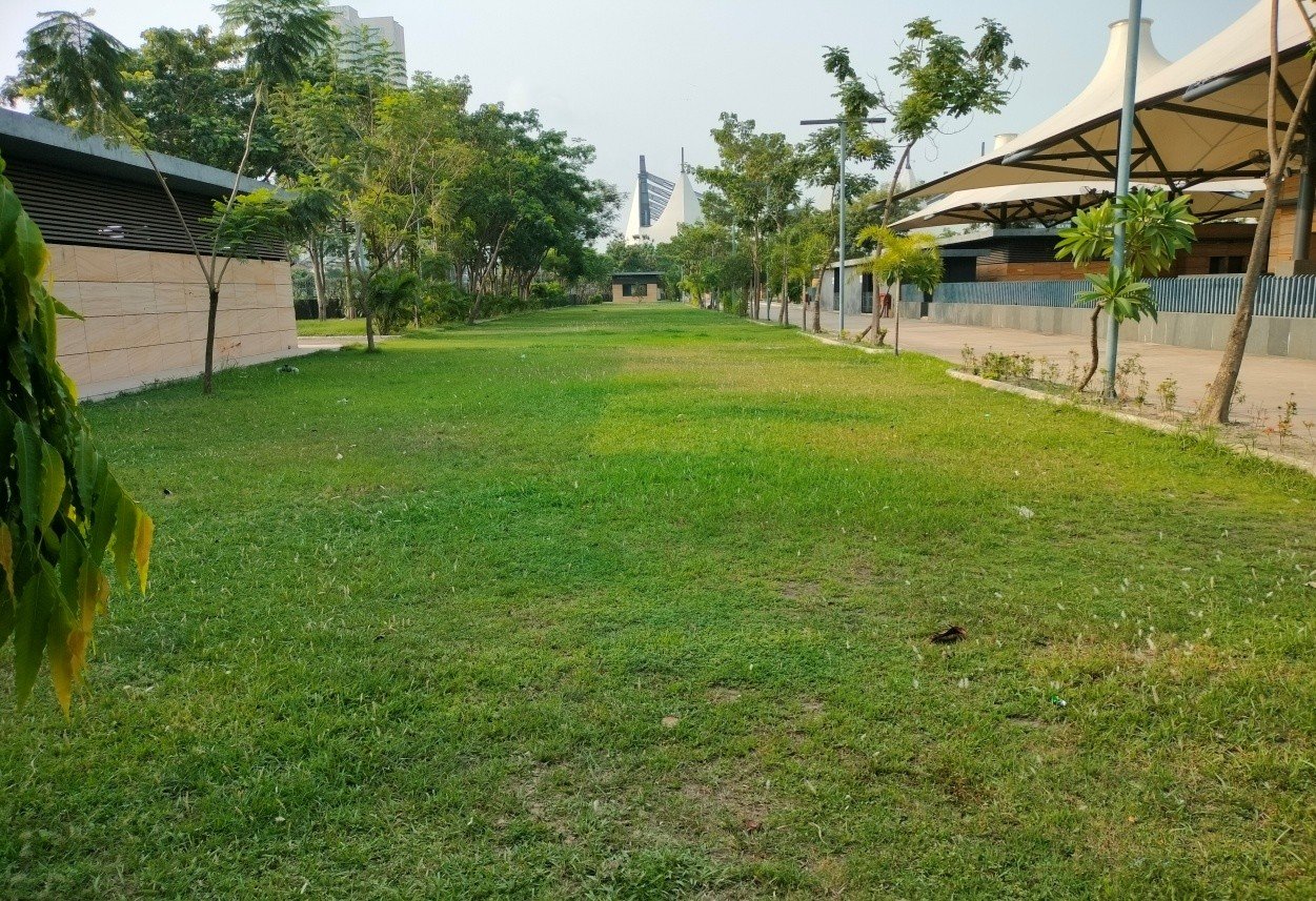 Lawn Area Near Gate 4